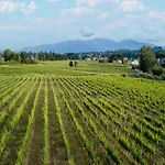 Apartment In Farmhouse In Wine Resort