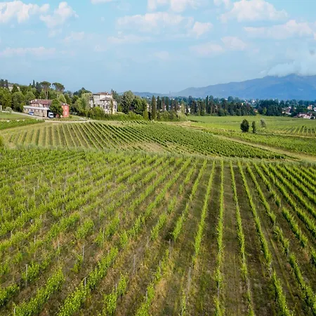 Apartment In Farmhouse In Wine Resort *