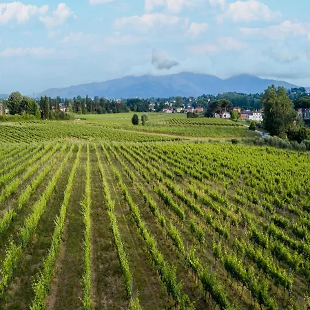 Elisa In Wine In Lucca